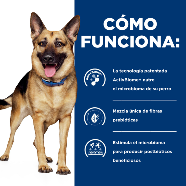 Hills Prescription Diet Canine Gastrointestinal Biome Small Bites