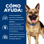 Hills Prescription Diet Canine Gastrointestinal Biome Small Bites