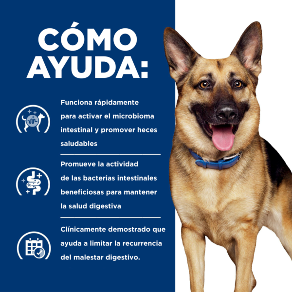 Hills Prescription Diet Canine Gastrointestinal Biome Small Bites