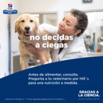 Hills Prescription Diet Canine Gastrointestinal Biome Small Bites