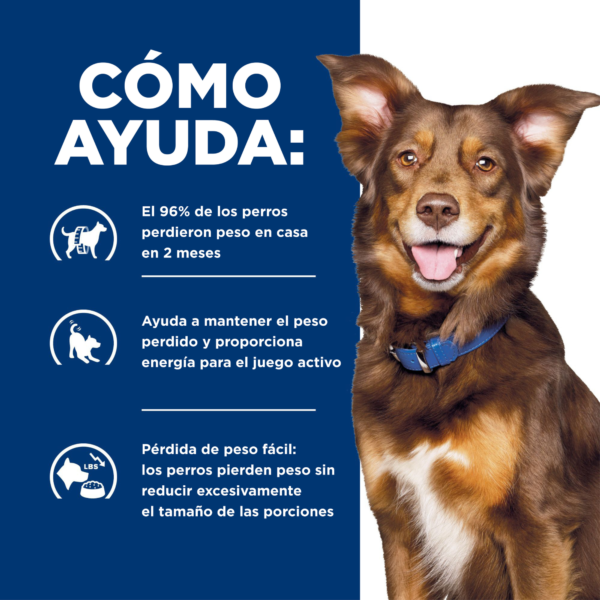 Hills Prescription Diet Canine Metabolic Small Bites