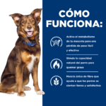 Hills Prescription Diet Canine Metabolic Small Bites