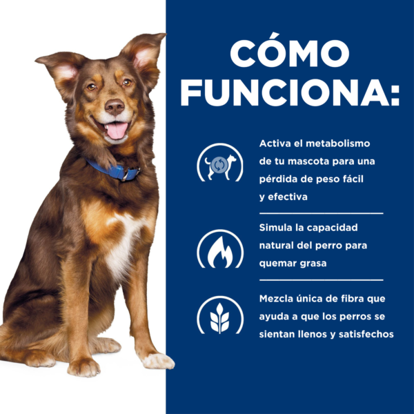 Hills Prescription Diet Canine Metabolic Small Bites