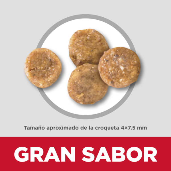 Comida para perros pequeños y sensiblesHills Science Diet Adult Sensitive Stomach & Skin Small & Mini