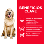 Hills Science Diet Canine Adult Perfect Weight