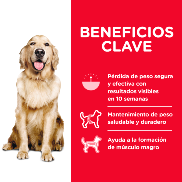 Hills Science Diet Canine Adult Perfect Weight