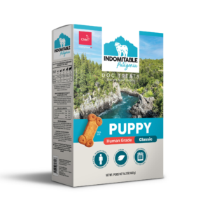Indomitable Patagonia Classic Puppy