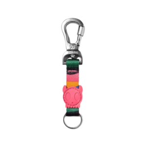 ZeeDog Chroma Keychain