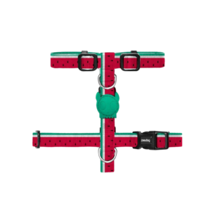 Zeedog Lola H-Harness